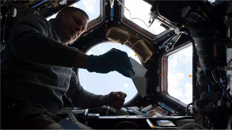 Descobriu-se que bactérias e fungos capazes de sobreviver em condições extremas prosperam na Estação Espacial Internacional