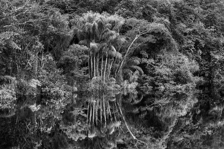Rio Jaú em imagem da exposição 'Amazônia' na Filarmônica de Paris