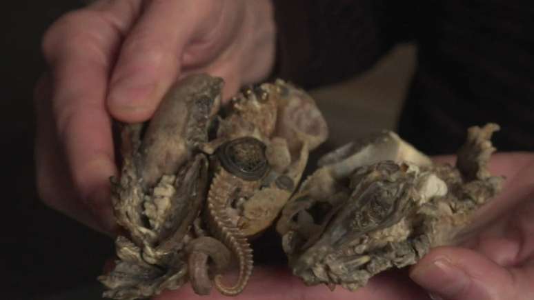 O trabalho de Gillian Genser &eacute; feito a partir de materiais naturais