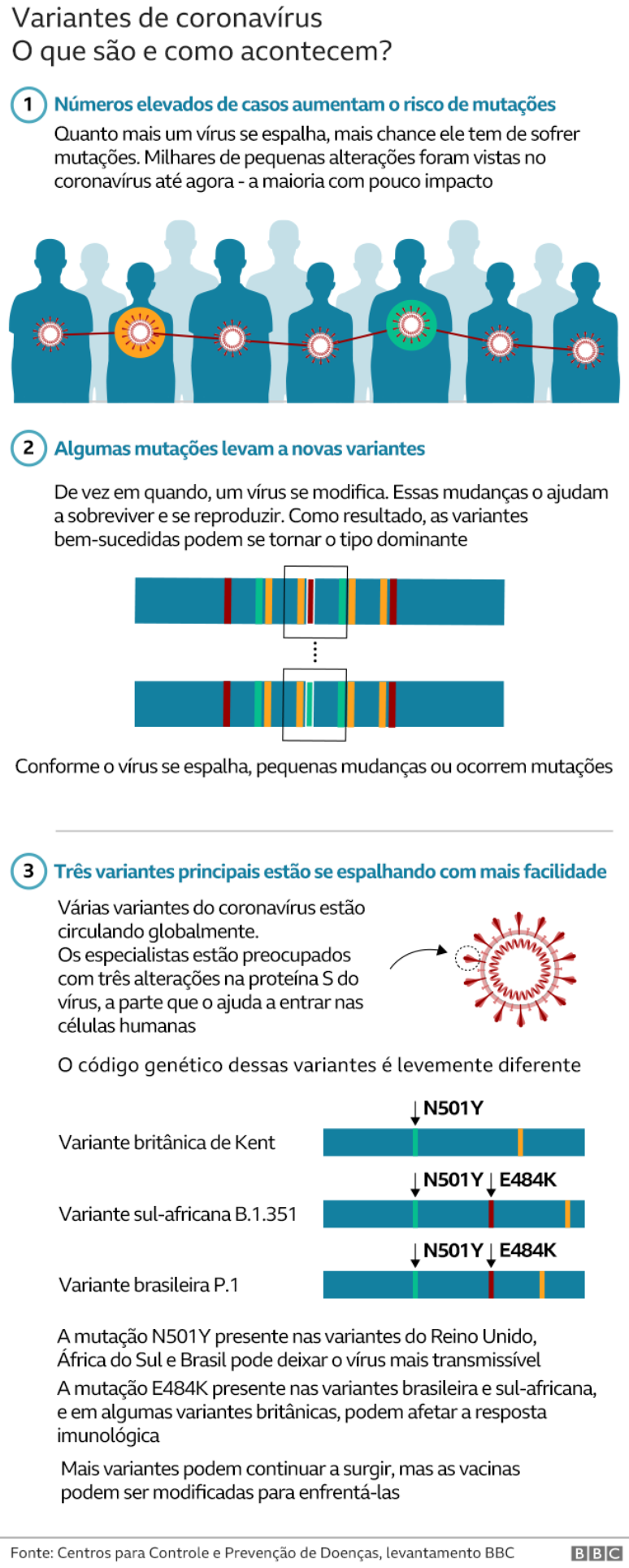 Gráfico sobre variantes do coronavírus