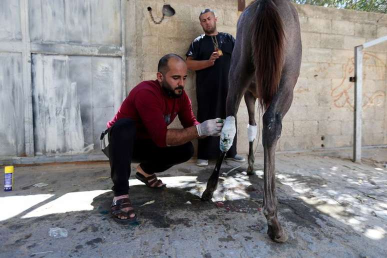 Homem trata cavalo do palestino Omar Shahin, que foi ferido durante o combate entre Israel e Palestina, em Gaza
24/05/2021 REUTERS/Ibraheem Abu Mustafa