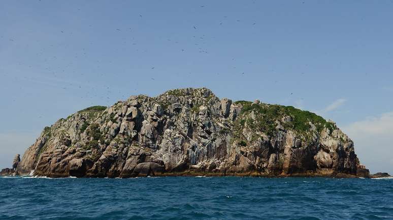 A pequena ilha onde vivem os preás fica a cerca de 10 km da costa de Santa Catarina