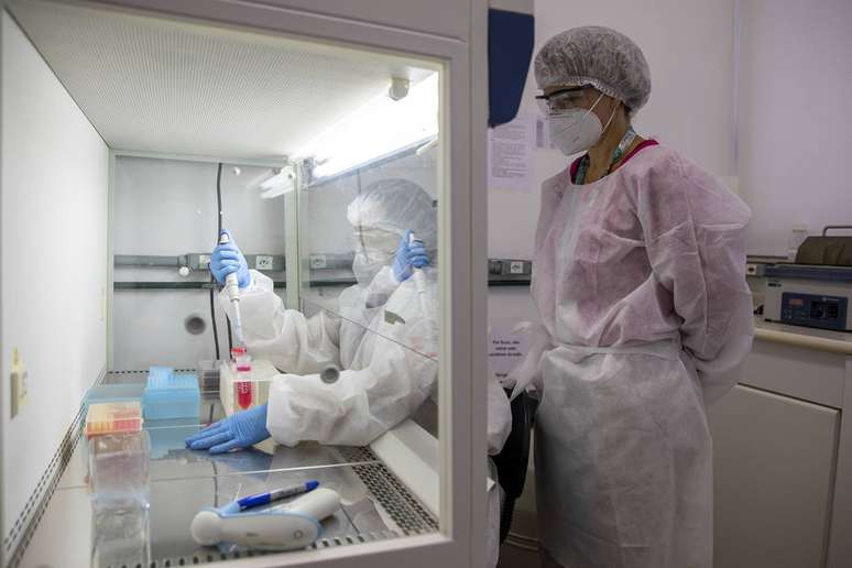 Pesquisadoras no laboratório de Virologia da Unifesp