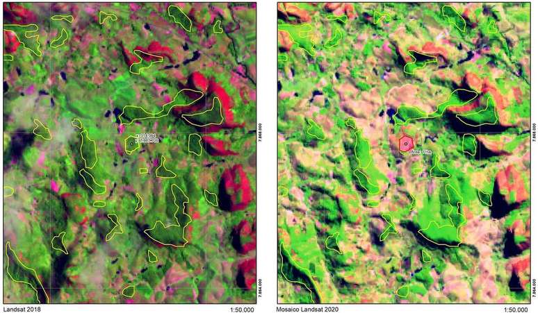 Imagens de satélites mostram remanescentes florestais da Mata Atlântica em Panca, no ES, entre 2019 e 2020. No centro da segunda imagem, referente ao ano passado, área vermelha indica área devastada.