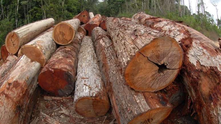 Ação civil pública contra despacho do Ibama afirmava que documento facilitava desmatamento ilegal