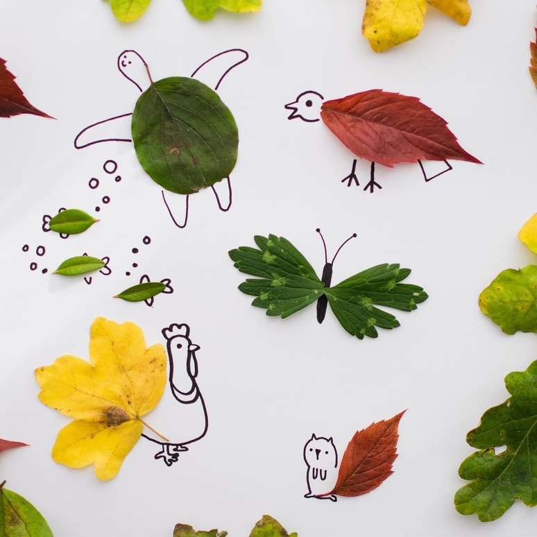 atividade de animais desenhados com plantas