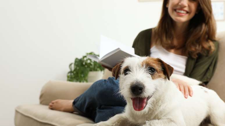 Ado&ccedil;&atilde;o