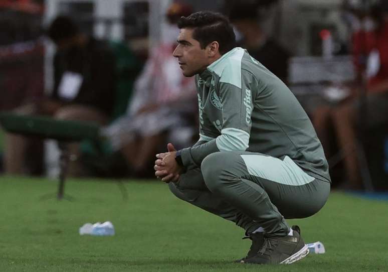 (Foto: Cesar Greco/Palmeiras)