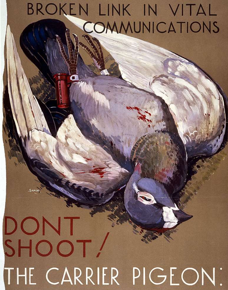 Cartazes como este pediam às pessoas que não matassem os pombos, pois poderiam interferir em comunicações vitais