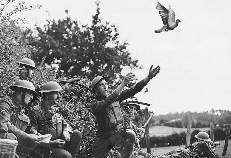 Voluntários locais de defesa (LDV, na sigla em inglês) treinando pombos-correio no noroeste da Inglaterra em 1940