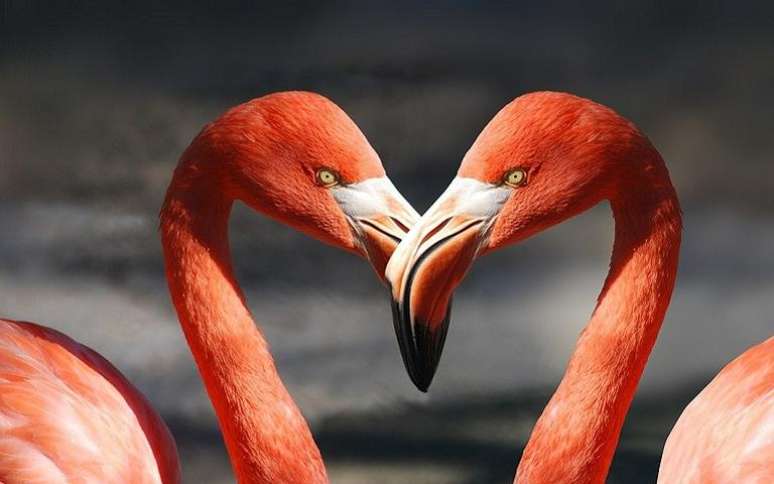 Aprenda a ativar os arqu&eacute;tipos para atrair mais amor a sua vida -