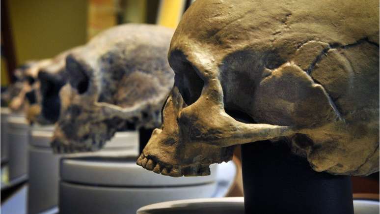 Uma das causas possíveis para o desaparecimento dos neandertais é a consanguinidade