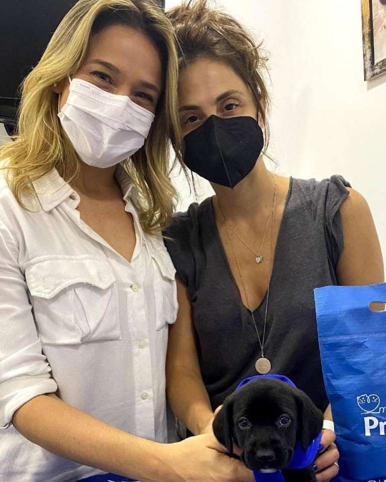 Fernanda Gentil e Priscila Montandon adotam cachorrinha.