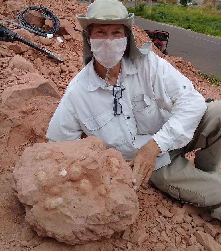 O paleontólogo Willian Nava exibe a ninhada de ovos fossilizados que encontrou no sítio paleontológico de Presidente Prudente. Análises devem apontar se são ovos de crocodilos pré-históricos e, um deles, de um dinossauro carnívoro