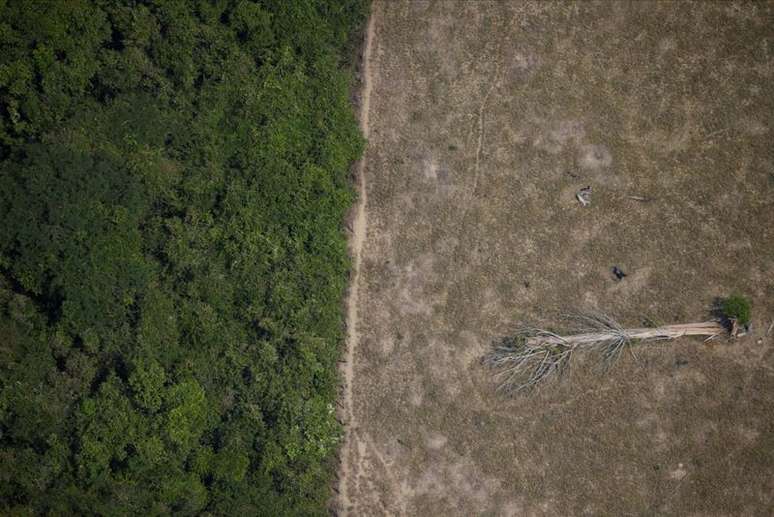 Área desmatada da Amazônia perto de Porto Velho, em Rondônia
REUTERS/Ueslei Marcelino