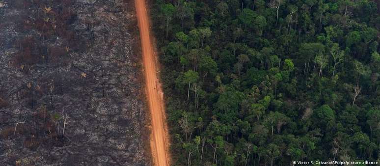 Área desmatada na Amazônia: bioma concentra 61% da área devastada em 2020