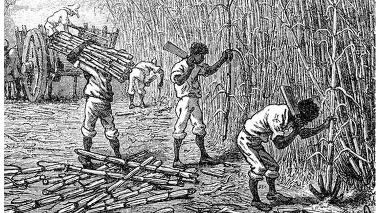 As plantações de cana de açúcar faziam da Jamaica uma das colônias britânicas mais lucrativas