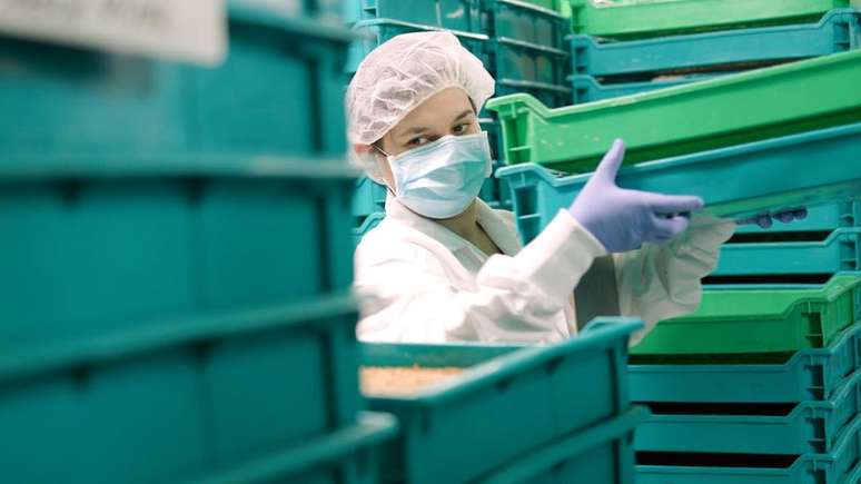 Nas instala&ccedil;&otilde;es de sua empresa, Virginia Emery cria milhares de larvas para serem usadas na alimenta&ccedil;&atilde;o de animais
