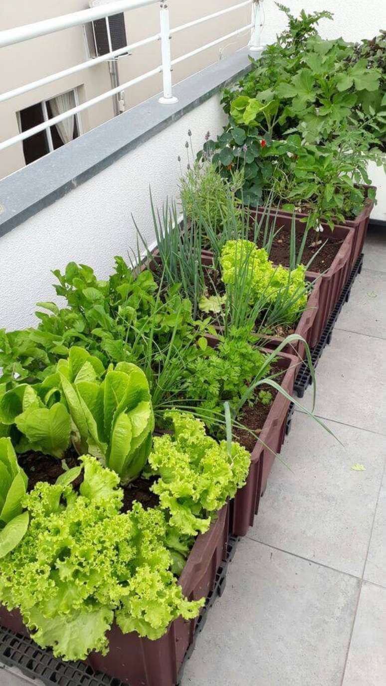 36. Ideias para jardim com horta – Foto Studio Ms Design