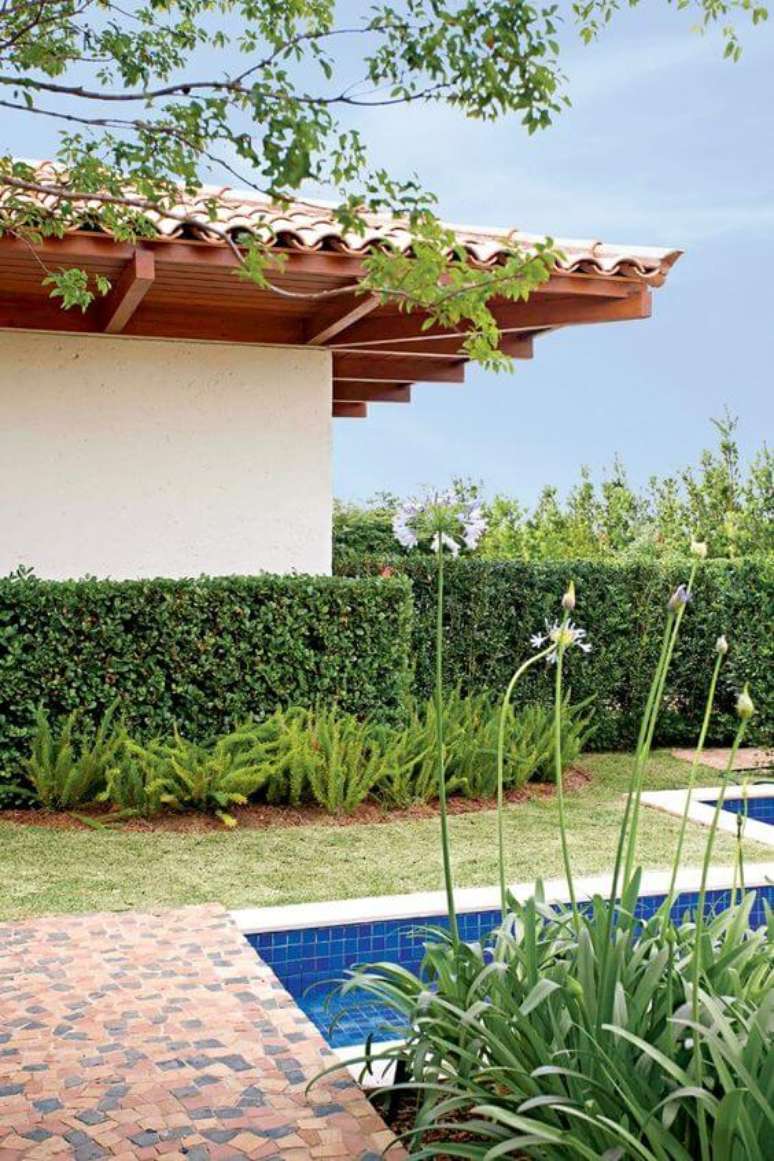13. Ideias de jardim com cerca viva na área da piscina – Foto Revista Casa e Jardim