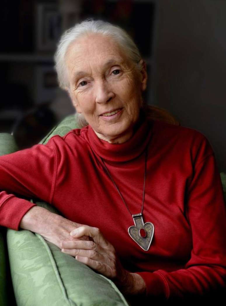 'Hoje existem vários grupos de jovens trabalhando para tornar esse mundo melhor. Eles são meu maior motivo de esperança', afirma Jane Goodall.