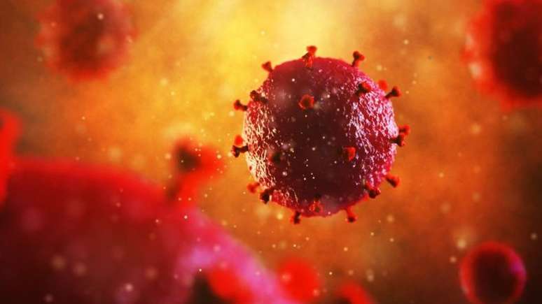 Nas últimas décadas, cientistas de todo o mundo estudaram formas de criar um imunizante contra o HIV