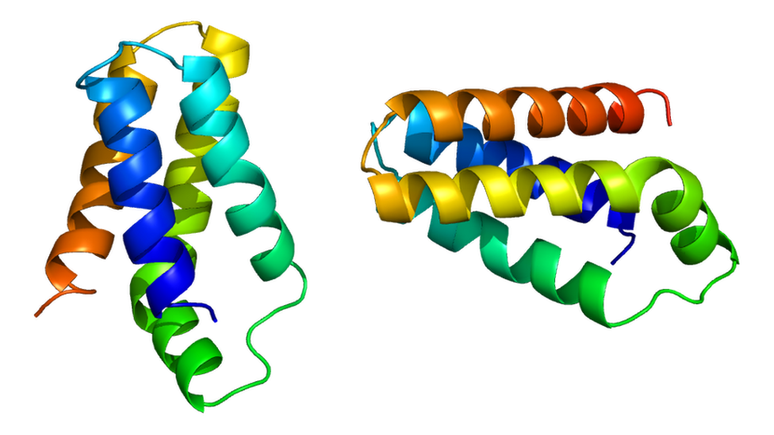 Ilustração representa a estrutura da mTOR