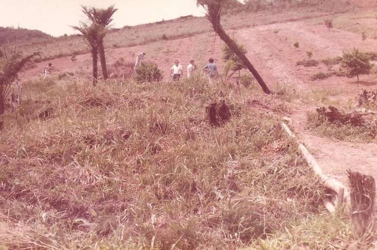 Imagem do sítio na década de 70, quando era tudo mato.