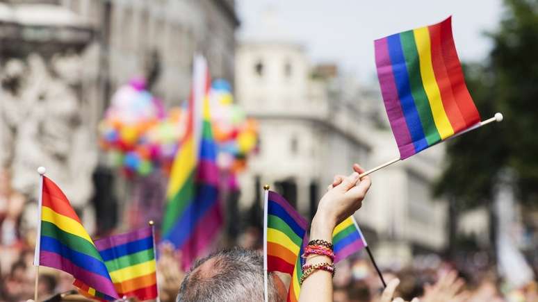 Em alguns momentos, a cor Rosa também aparece nas bandeiras com destaque para o movimento trans. Shutterstock.