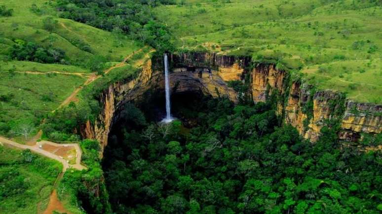 Cerrado é a savana mais biodiversa do mundo e se originou há pelo menos 40 milhões de anos.