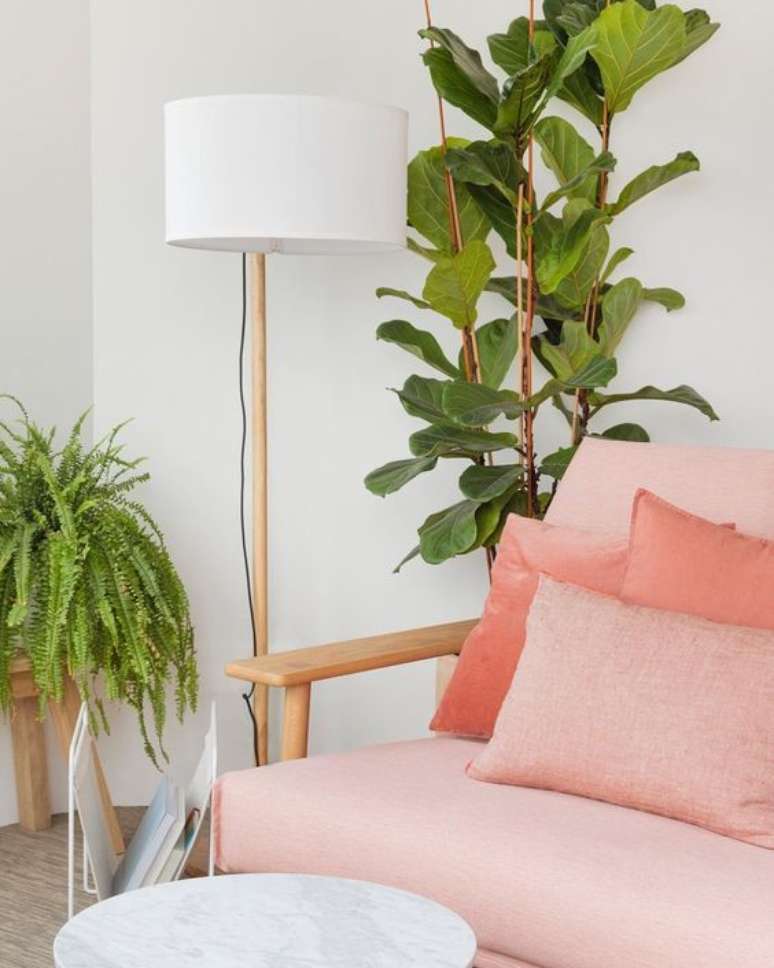 51. Sofá cor pessego para sala de estar com vasos de plantas – Foto Pinteres