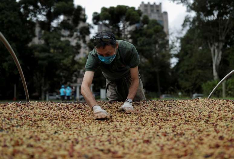 Homem espalhando grãos em maior plantação urbana de café, em São Paulo, Brasil. 
08/05/2021
REUTERS/Amanda Perobelli