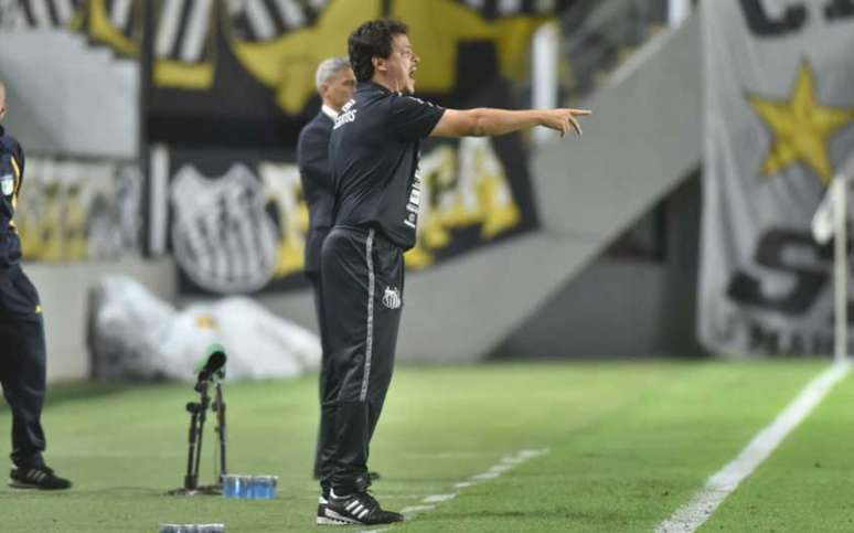 Fernando Diniz ficou satisfeito com o empenho do time na vitória contra o São Paulo (Foto: Divulgação/Santos FC)