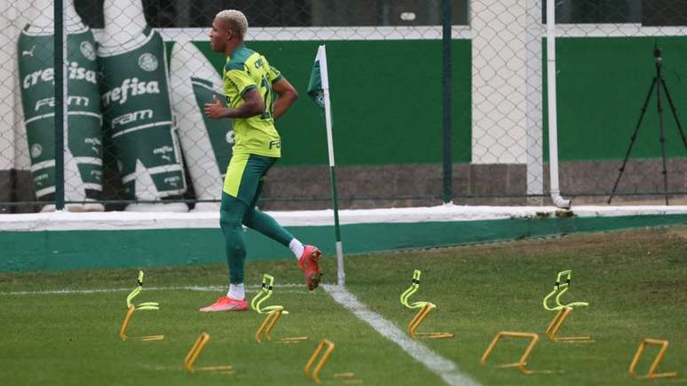 Danilo treinou normalmente com o restante do elenco (Foto: Cesar Greco/Palmeiras)