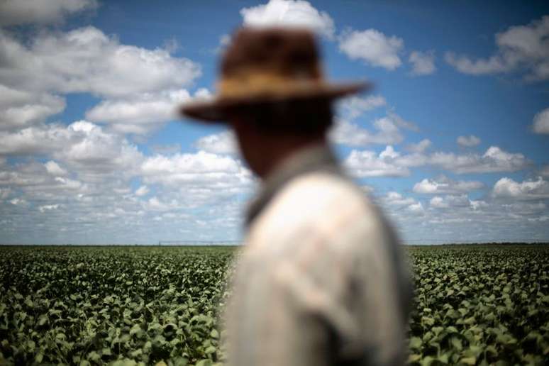 Agricultor observa lavoura de soja em Barreiras (BA) 
06/02/2014
REUTERS/Ueslei Marcelino 