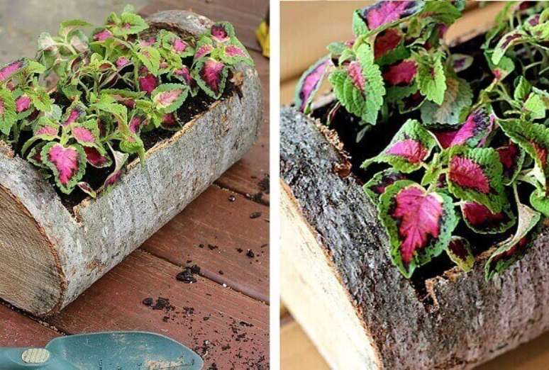 57. Floreira r&uacute;stica feita com tronco de &aacute;rvore. Fonte: Pinterest