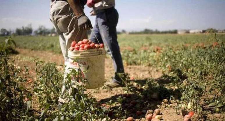 Em dias muito quentes, trabalho no campo ao ar livre deve ser limitado