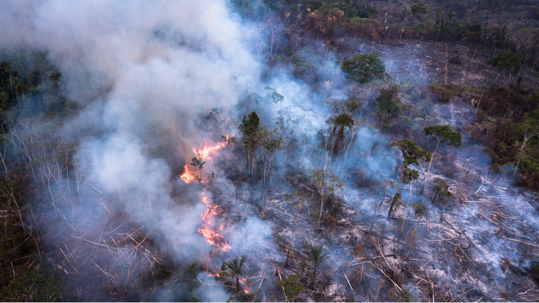 Mas 'outro fator preocupante &eacute; o aumento de &aacute;reas que n&atilde;o foram desmatadas, mas est&atilde;o degradadas por inc&ecirc;ndios ou extra&ccedil;&atilde;o de madeira'