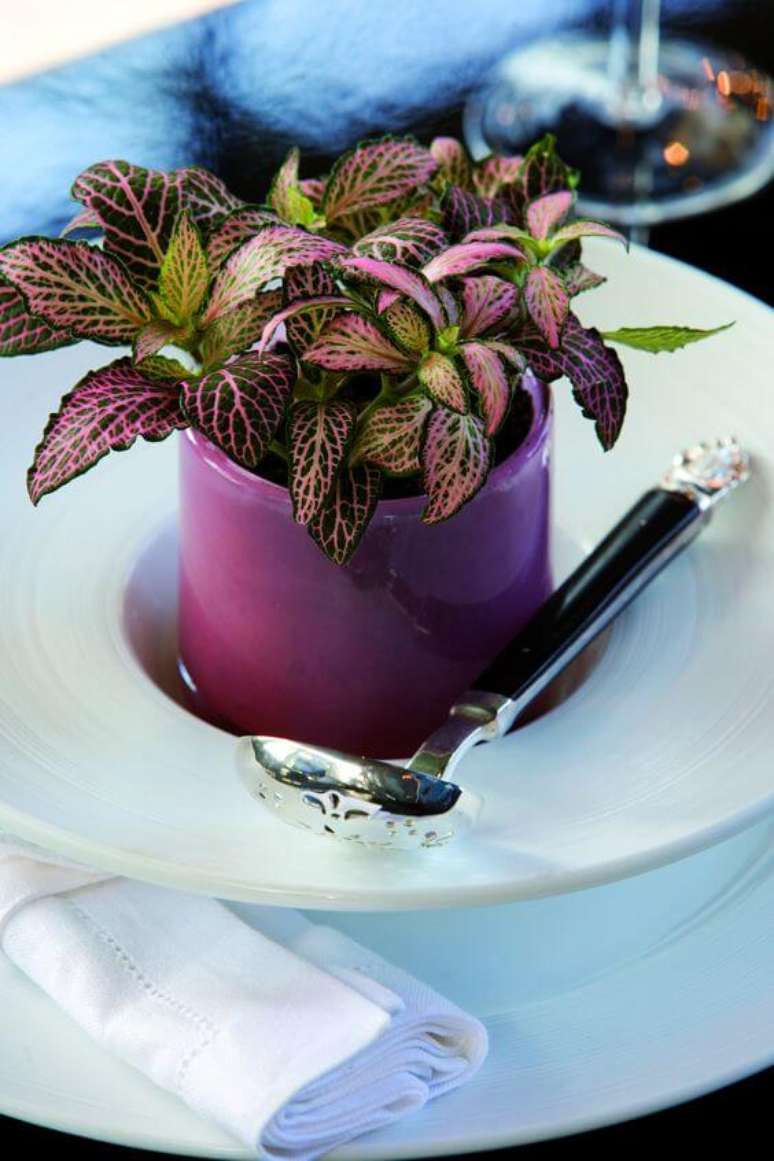 3. Mesa de jantar decorada com vaso de planta mosaico  – Foto Flora Focus