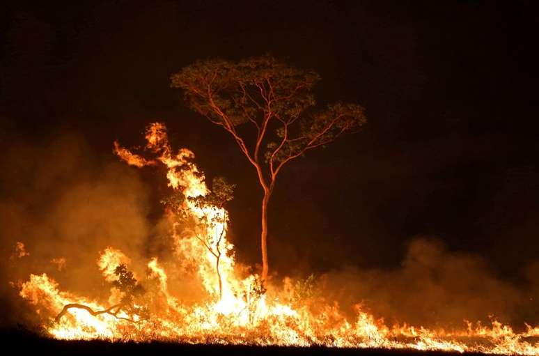 Incêndio em terra indígena no Estado do Amazonas
15/09/2019 REUTERS/Bruno Kelly