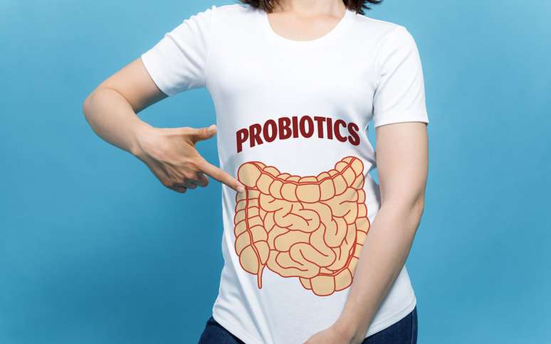 Probióticos, as bactérias que são aliadas da nossa saúde