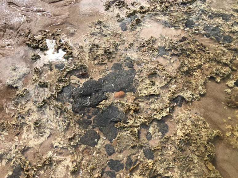 Entre 300 kg e 400 kg de óleo foram retirados da praia de Itacimirim, município de Camaçari, na região metropolitana de Salvador