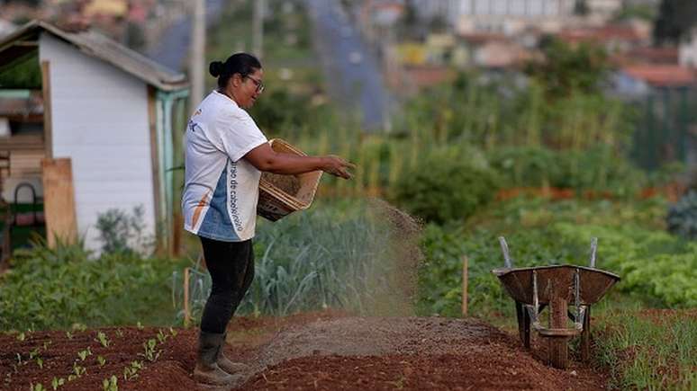 Horta urbana em Sete Lagoas, Minas Gerais; alimentos in natura como estes têm perdido espaço no cardápio de famílias pobres na pandemia