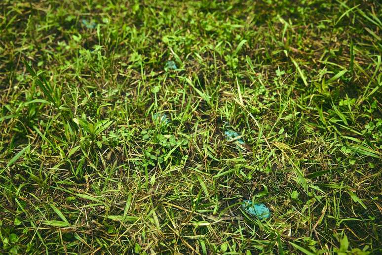 Você consegue ver um Pokémon aqui?