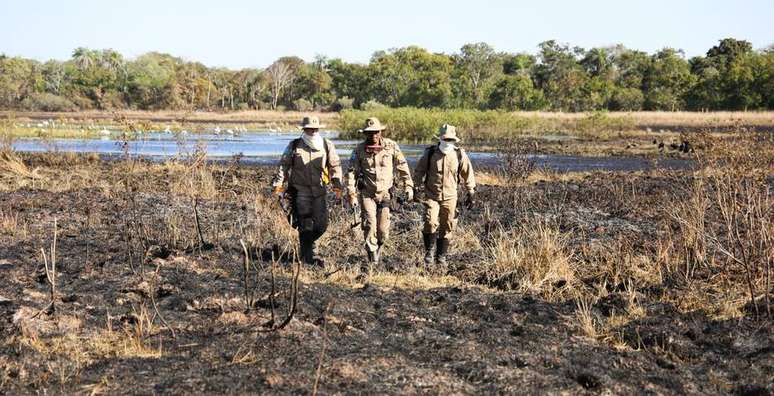 Bombeiros mobilizam contingente e aviões no combate aos incêndios no Pantanal, em Mato Grosso do Sul