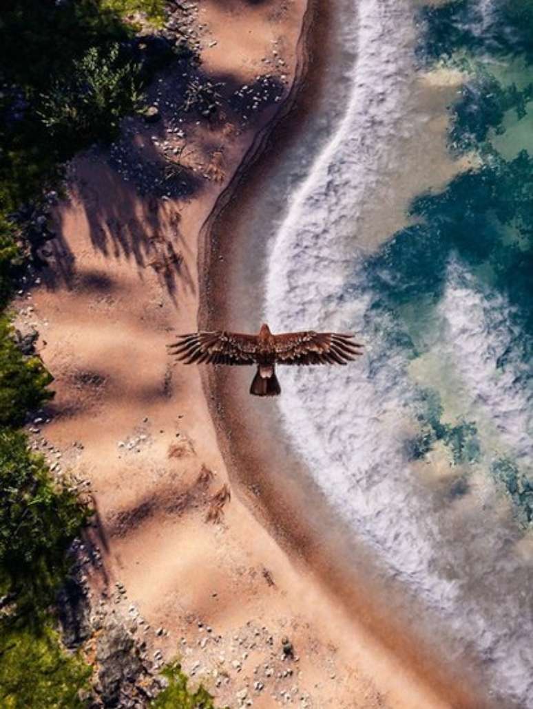 Fotos de videogame, como este registro de Megan Reims de uma águia sobrevoando uma praia em 'Assassin's Creed Odyssey', oferecem uma visão utópica