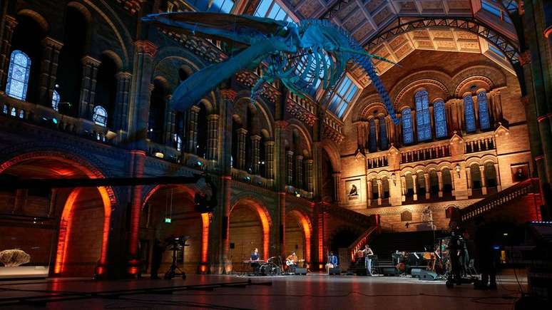 Uma apresentação do Spell Songs arrecadou 105 mil libras para ajudar o Museu de História Natural, em Londres, a lançar um movimento no Reino Unido destinado a conectar comunidades com a natureza urbana