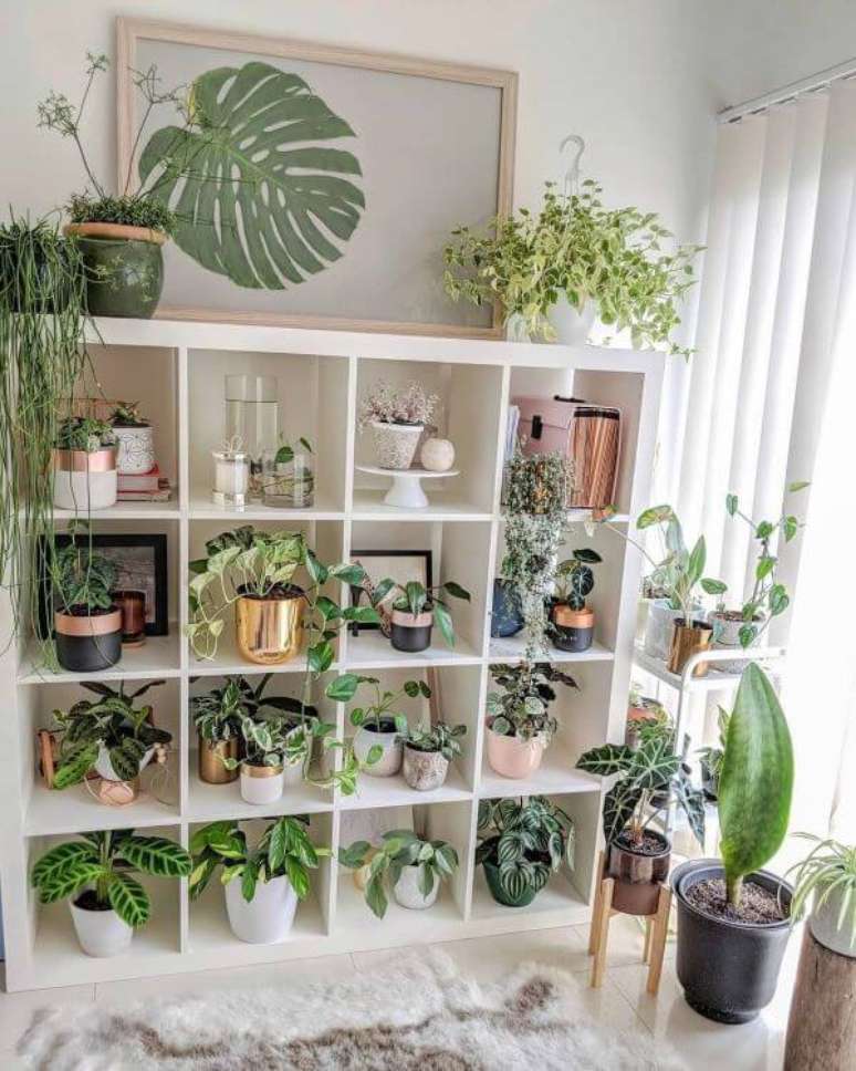 4. Sala de estar boho com estante cheia de plantas &ndash; Foto Casa Maria Lucia