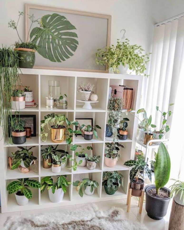 4. Sala de estar boho com estante cheia de plantas – Foto Casa Maria Lucia