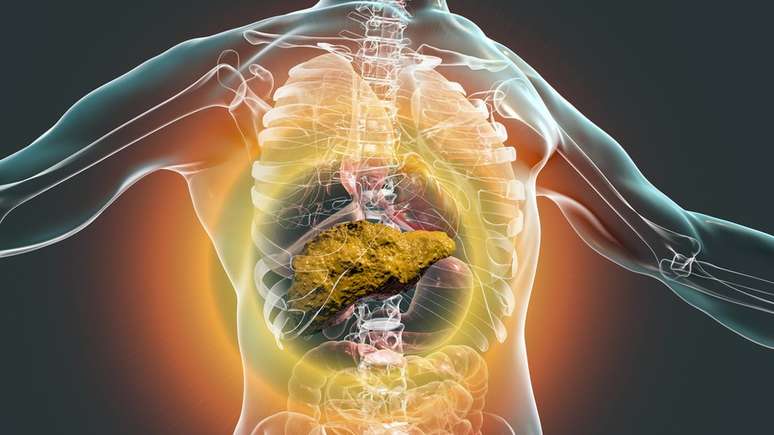 &Aacute;lcool pode causar dano celular